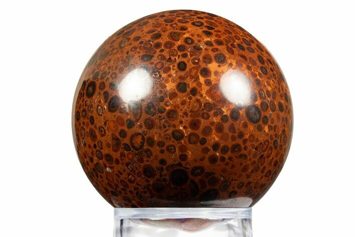 Polished Bauxite (Aluminum Ore) Sphere - Russia #316281